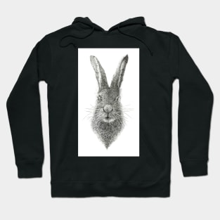 the serious hare Hoodie